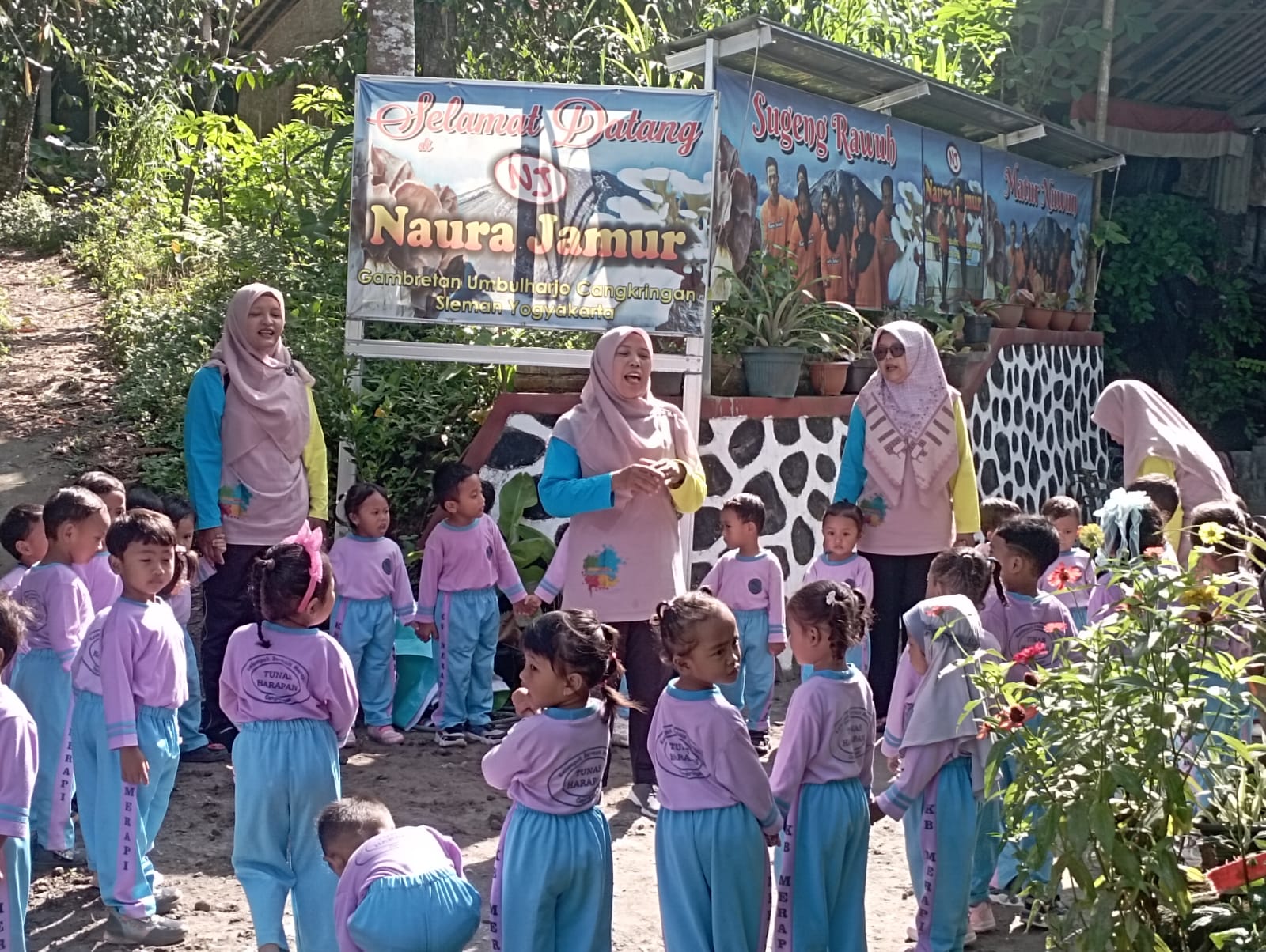 Naura Jamur