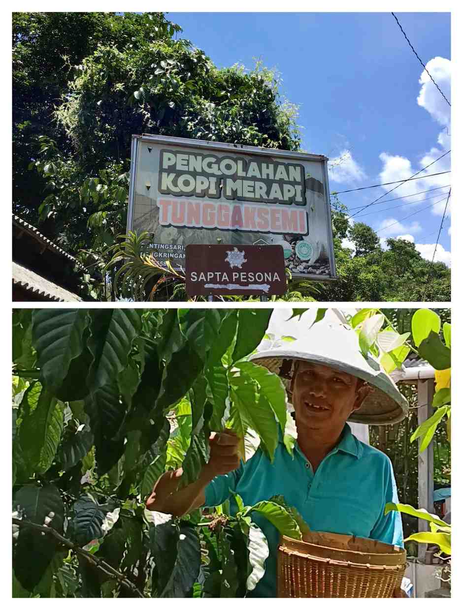 Kopi Tunggaksemi